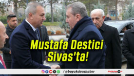 mustafa