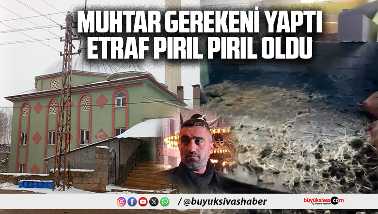 pırıl pırıl