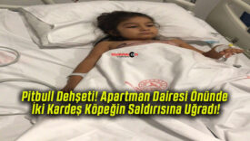 Pitbull Dehşeti! Apartman Dairesi Önünde İki Kardeş Köpeğin Saldırısına Uğradı!