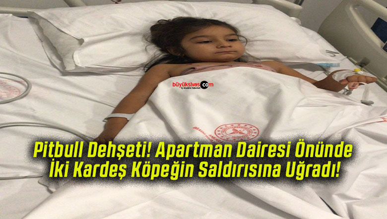 Pitbull Dehşeti! Apartman Dairesi Önünde İki Kardeş Köpeğin Saldırısına Uğradı!