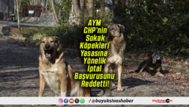 AYM CHP’nin Sokak Köpekleri Yasasına Yönelik İptal Başvurusunu Reddetti!