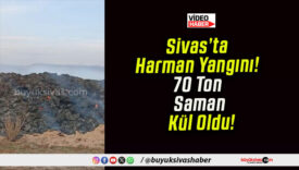 Sivas’ta Harman Yangını! 70 Ton Saman Kül Oldu!