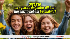 Sivas’ta bu aylarda doğanlar dikkat! Neşenizin sebebi bu olabilir!