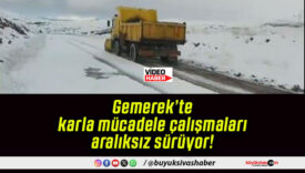 sürüyor