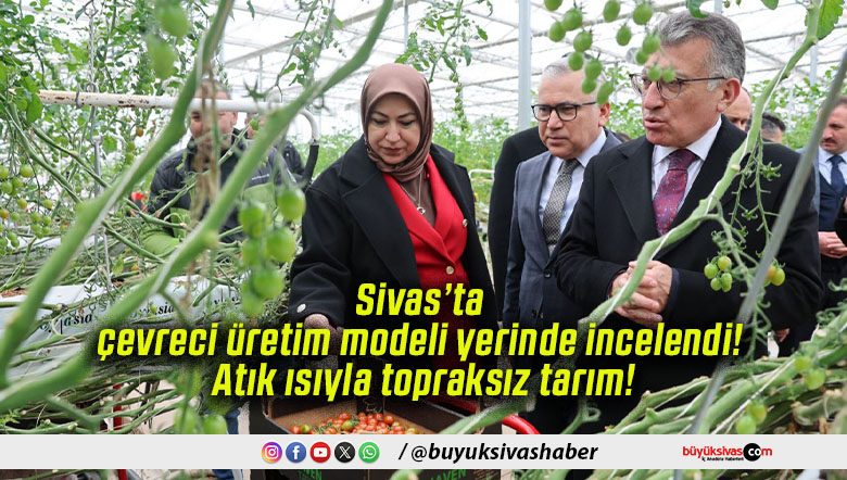 topraksıaz