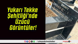 Yukarı Tekke Şehitliği’nde Üzücü Görüntüler!