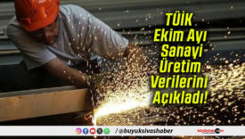TÜİK Ekim Ayı Verilerini Açıkladı!