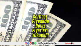 Serbest Piyasada Döviz Yükseldi!