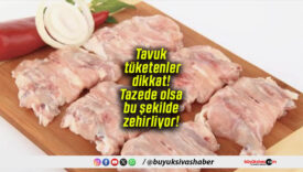 Tavuk tüketenler dikkat! Tazede olsa bu şekilde zehirliyor!