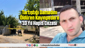 Damadını Öldüren Kayınpedere