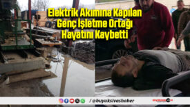 Genç İşletme Ortağı