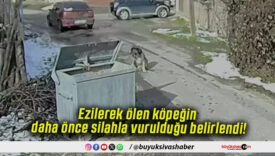 Ezilerek ölen köpeğin daha önce silahla vurulduğu belirlendi!