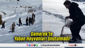 Gemerek’te Yaban Hayvanları Unutulmadı!