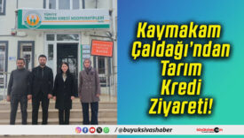 Kaymakam Çaldağı’ndan Tarım Kredi Ziyareti!