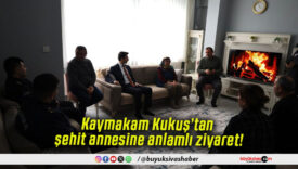 Kaymakam Kukuş’tan şehit annesine anlamlı ziyaret!
