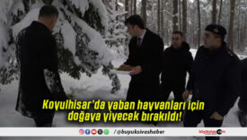 Koyulhisar’da yaban hayvanları için doğaya yiyecek bırakıldı!