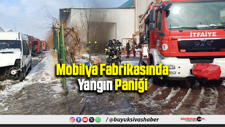 Mobilya Fabrikasında