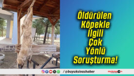 Öldürülen Köpekle İlgili Çok Yönlü Soruşturma!