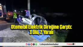 Otomobil Elektrik Direğine Çarptı