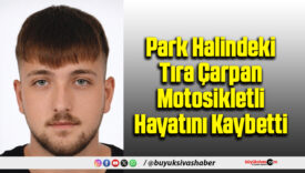 Park Halindeki Tıra Çarpan