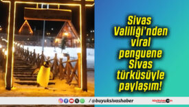Sivas Valiliği’nden viral penguene Sivas türküsüyle paylaşım!