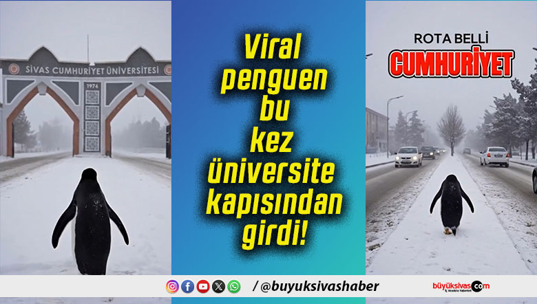 Viral penguen bu kez üniversite kapısından girdi!