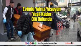 Yalnız Yaşayan Yaşlı