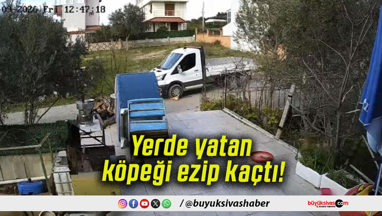 Yerde yatan köpeği ezip kaçtı!