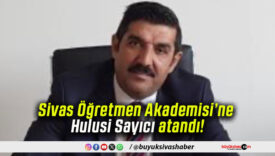 sayı