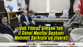 şimşe