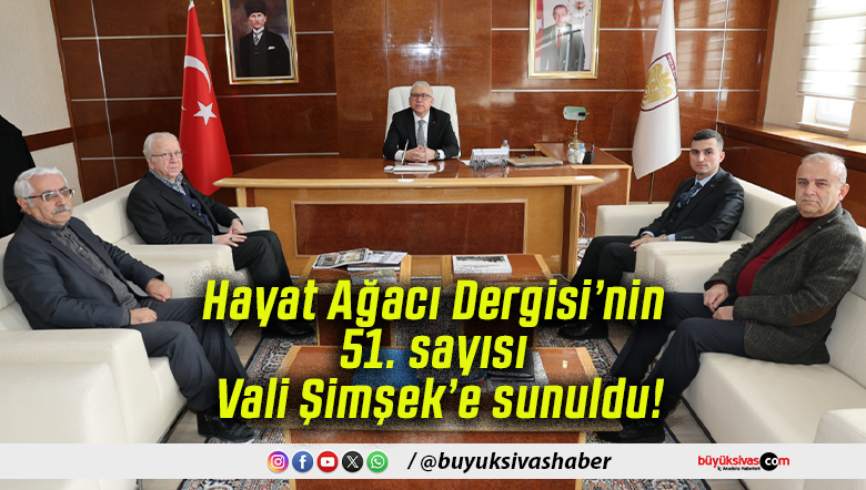 şimşeks