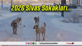 sokaks