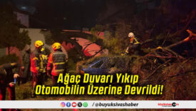 Ağaç Duvarı Yıkıp Otomobilin Üzerine Devrildi!