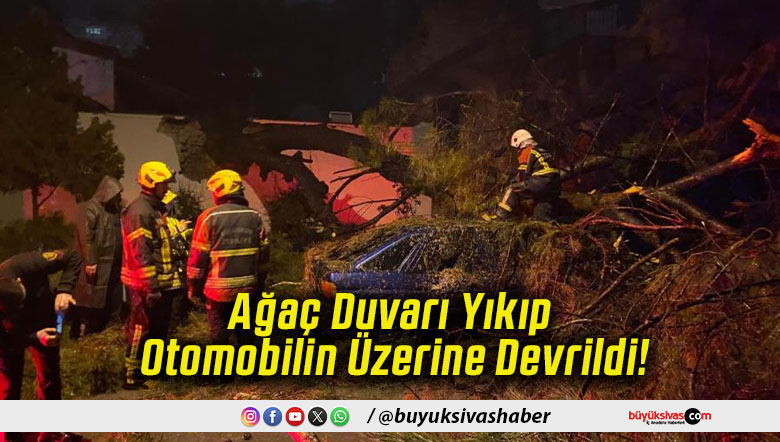 Ağaç Duvarı Yıkıp Otomobilin Üzerine Devrildi!