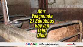 Ahır Yangınında 27 Büyükbaş Hayvan Telef Oldu!
