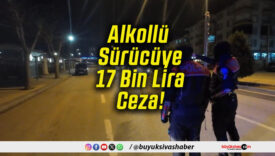 Alkollü Sürücüye 17 Bin Lira Ceza!