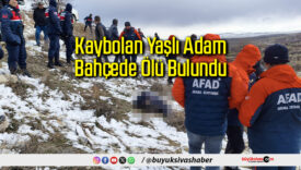 Kaybolan Yaşlı Adam