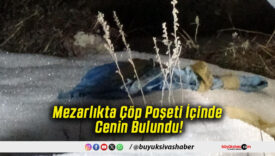 Mezarlıkta Çöp Poşeti İçinde Cenin Bulundu!