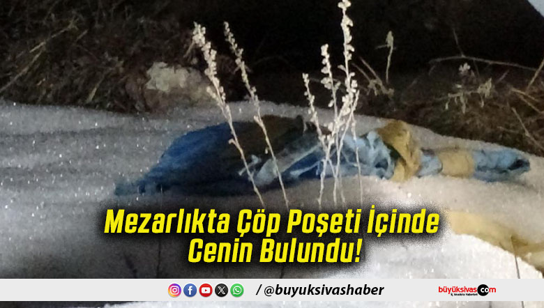 Mezarlıkta Çöp Poşeti İçinde Cenin Bulundu!