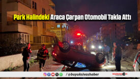 Park Halindeki Araca