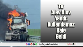 Tır Alev