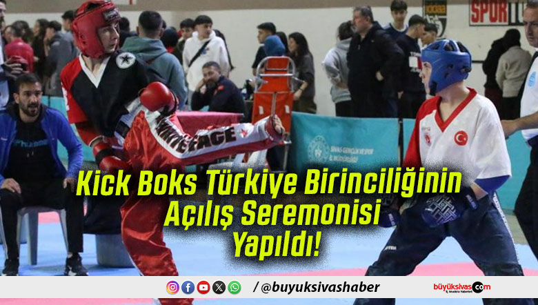açılışs