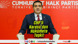hükümets