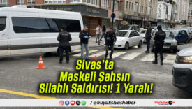 silahlıs