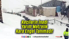 tanımad