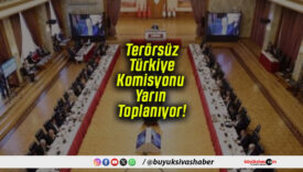 toplanıt