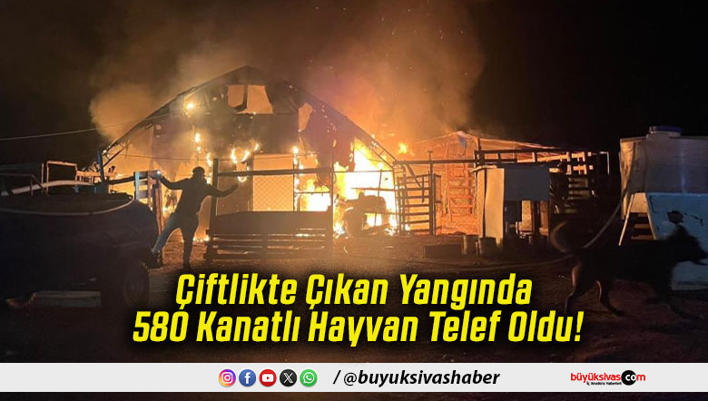 Çiftlikte Çıkan Yangında 580 Kanatlı Hayvan Telef Oldu!