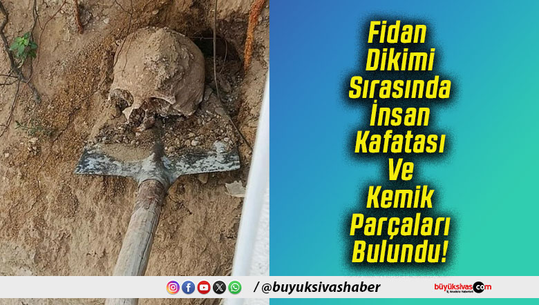 Fidan Dikimi Sırasında İnsan Kafatası Ve Kemik Parçaları Bulundu!