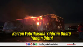 Karton Fabrikasına Yıldırım Düştü Yangın Çıktı!
