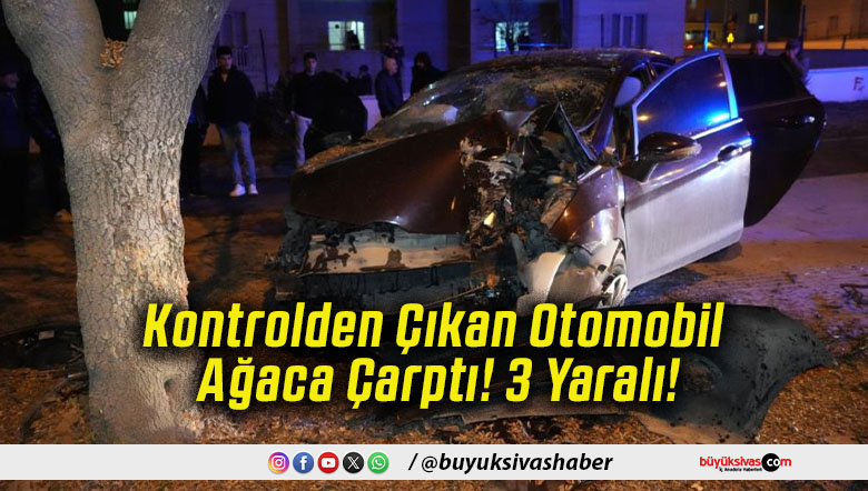Kontrolden Çıkan Otomobil Ağaca Çarptı! 3 Yaralı!